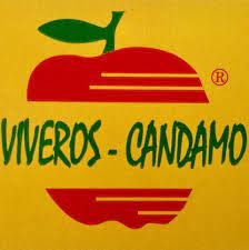 Viveros Candamo logo