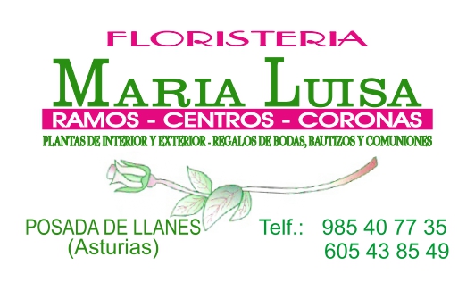 FLORISTERÍA MARÍA LUISA