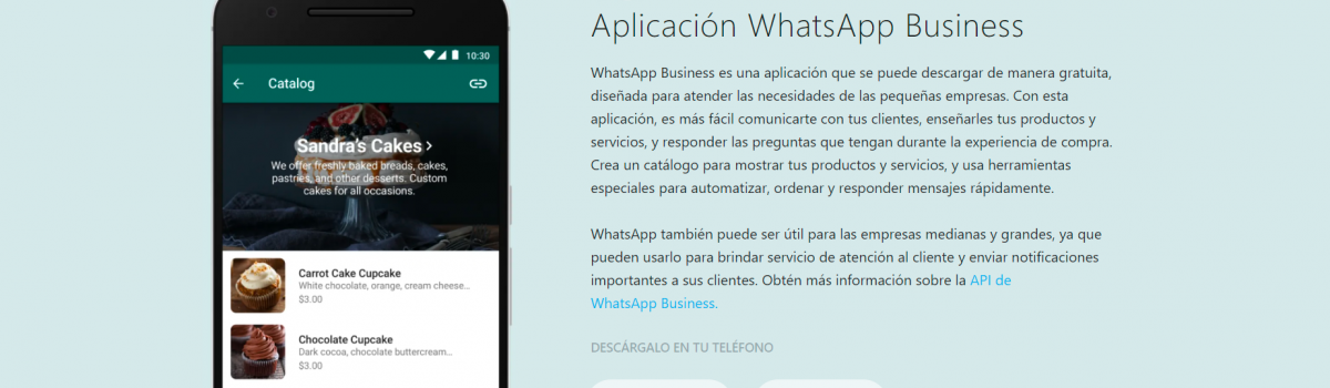 WhatsApp Business: una herramienta indispensable para tu comercio
